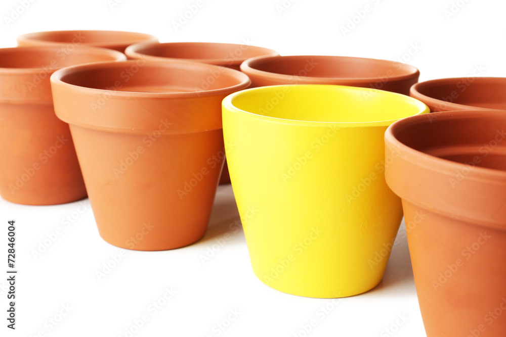Individuality concept. Flowerpots close-up Individuality concept. Flowerpots close-up