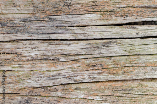 Old cracked wood grain texture background