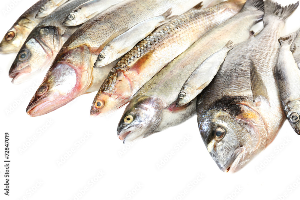 Fresh fish isolated on white