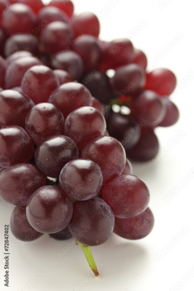 Fototapeta premium ぶどう