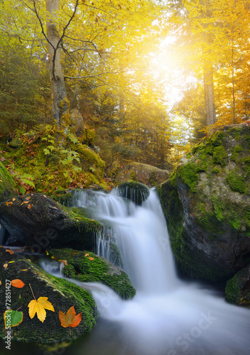 Autumnal landscape with waterfall