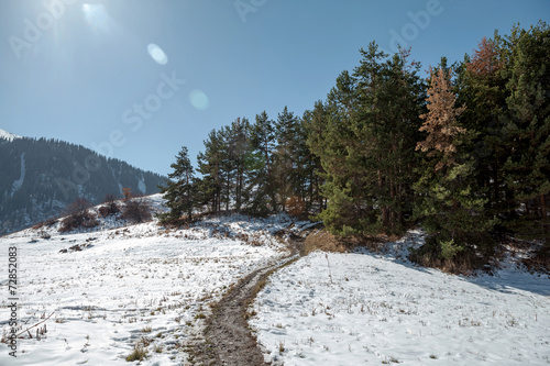 Fall in Kok Zhaylau. photo