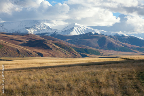Altai foothill steppes