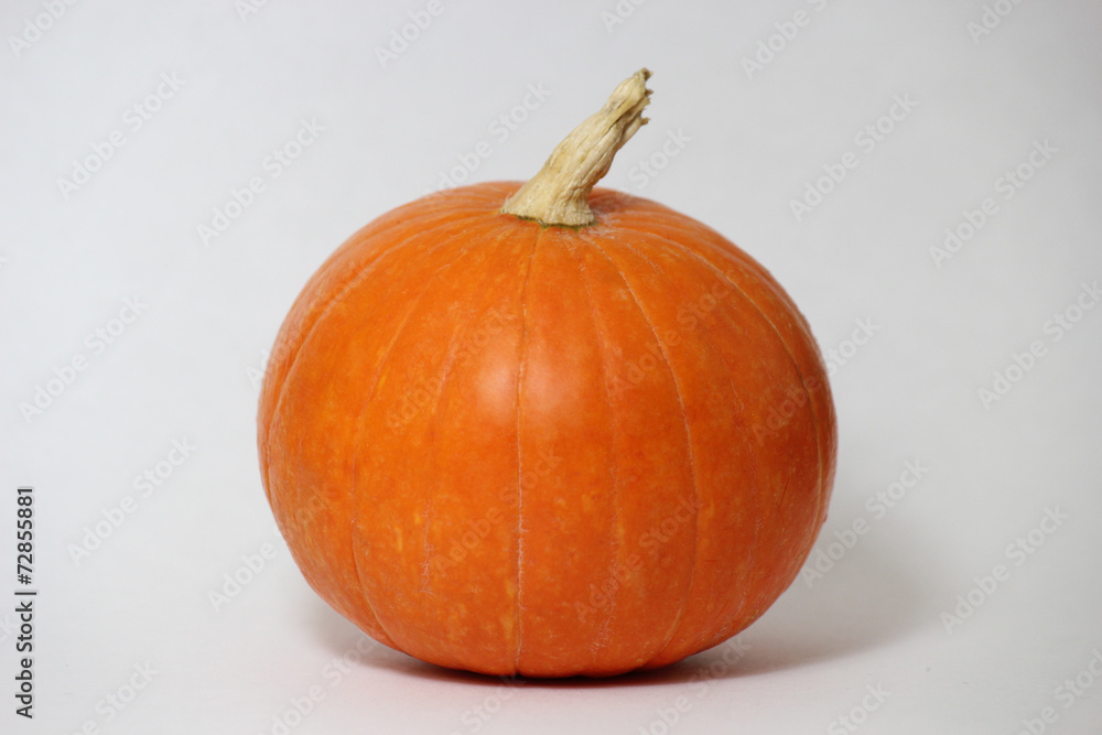 pumpkin pumpkin