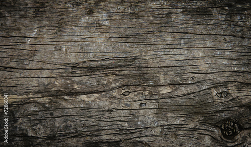 texture of bark wood photo