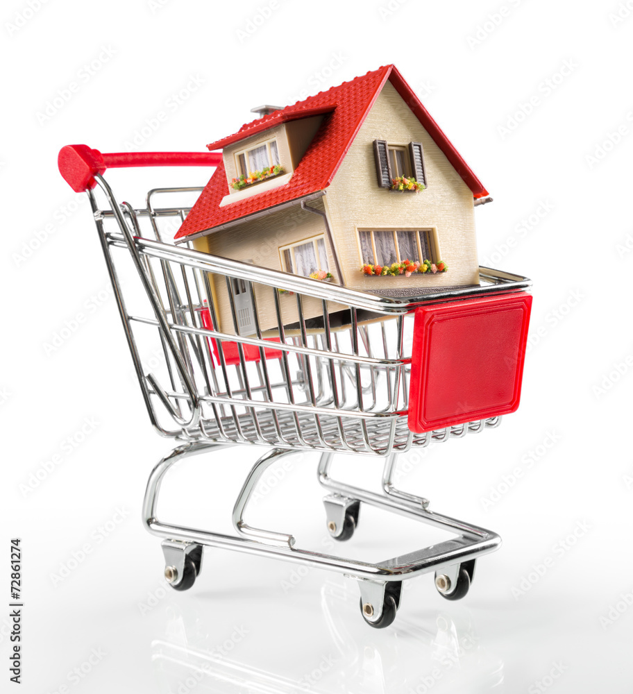 house in shopping-cart whit euro bills house in shopping-cart whit euro bills