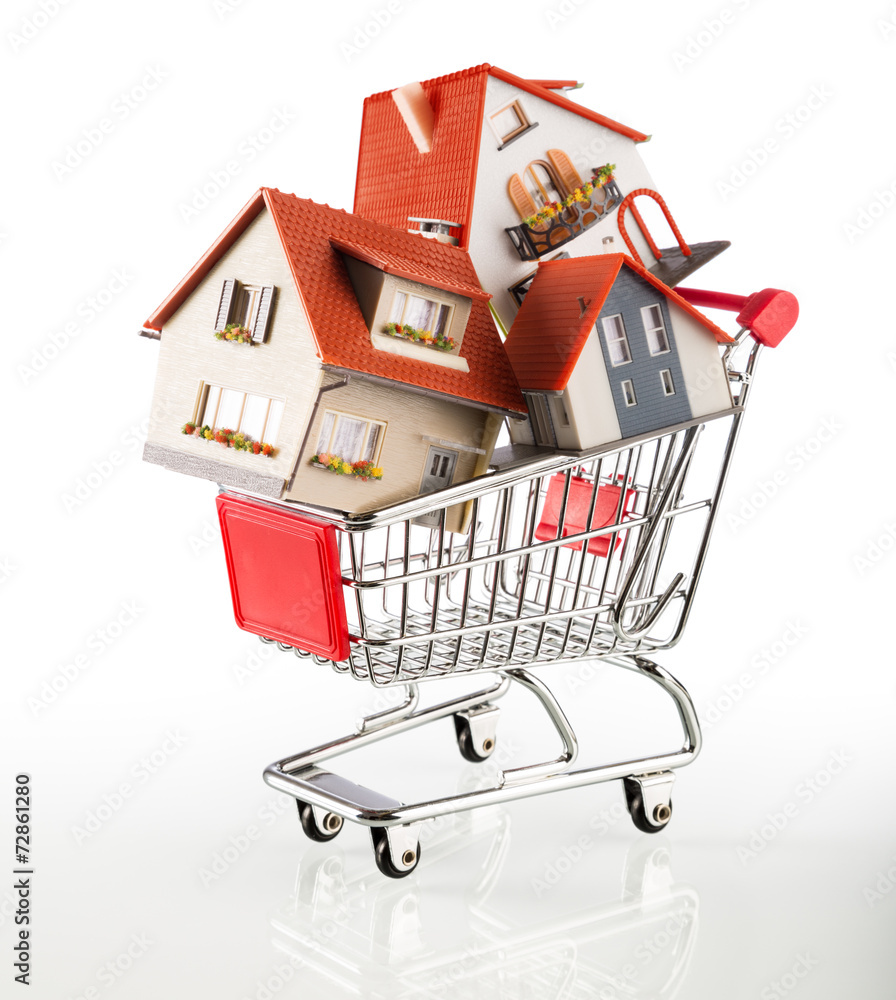 many houses in shopping-cart