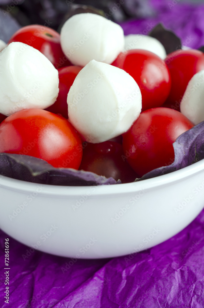 Mozzarella and cherry tomatoes in a porcelain bowl Mozzarella and cherry tomatoes in a porcelain bowl