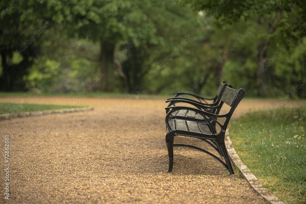 Stylish bench in autumn park