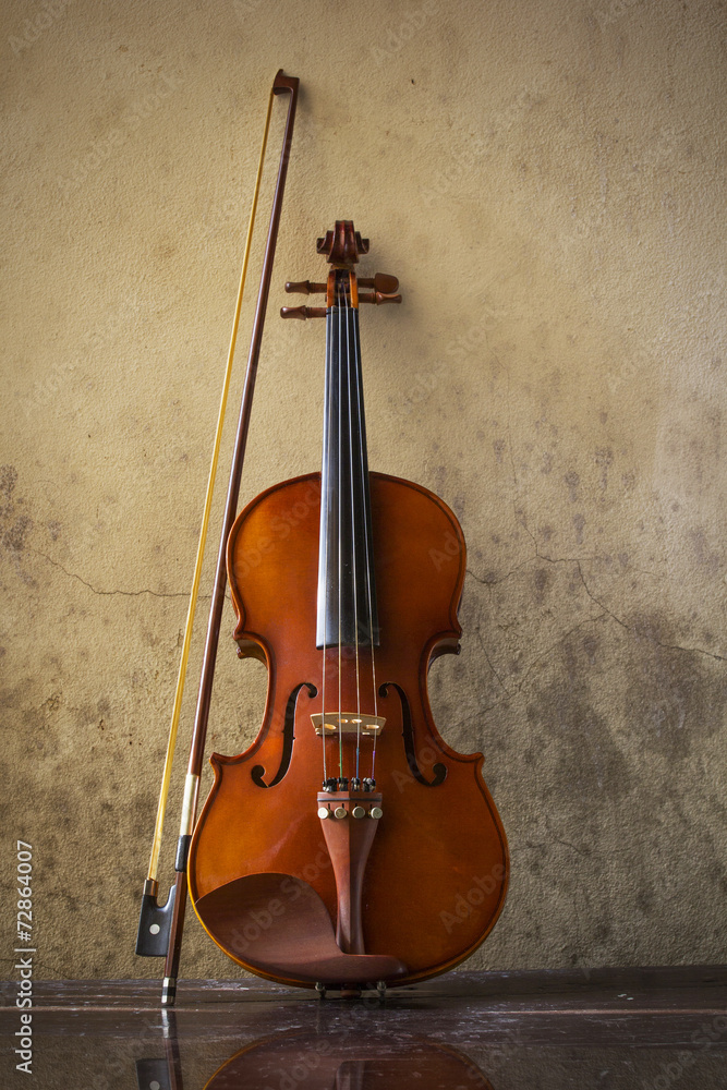 still life with vintage violin
