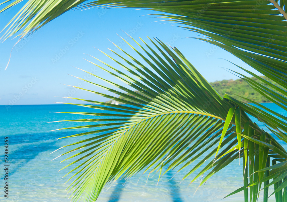 Fototapeta premium Exotic Paradise Idyllic Island