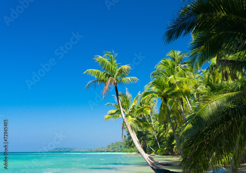 Serenity Shore Palm Panorama