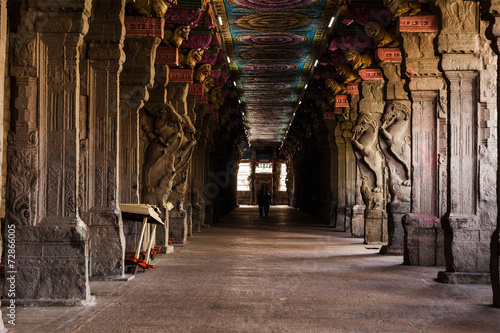 Sri Meenakshi Temple photo