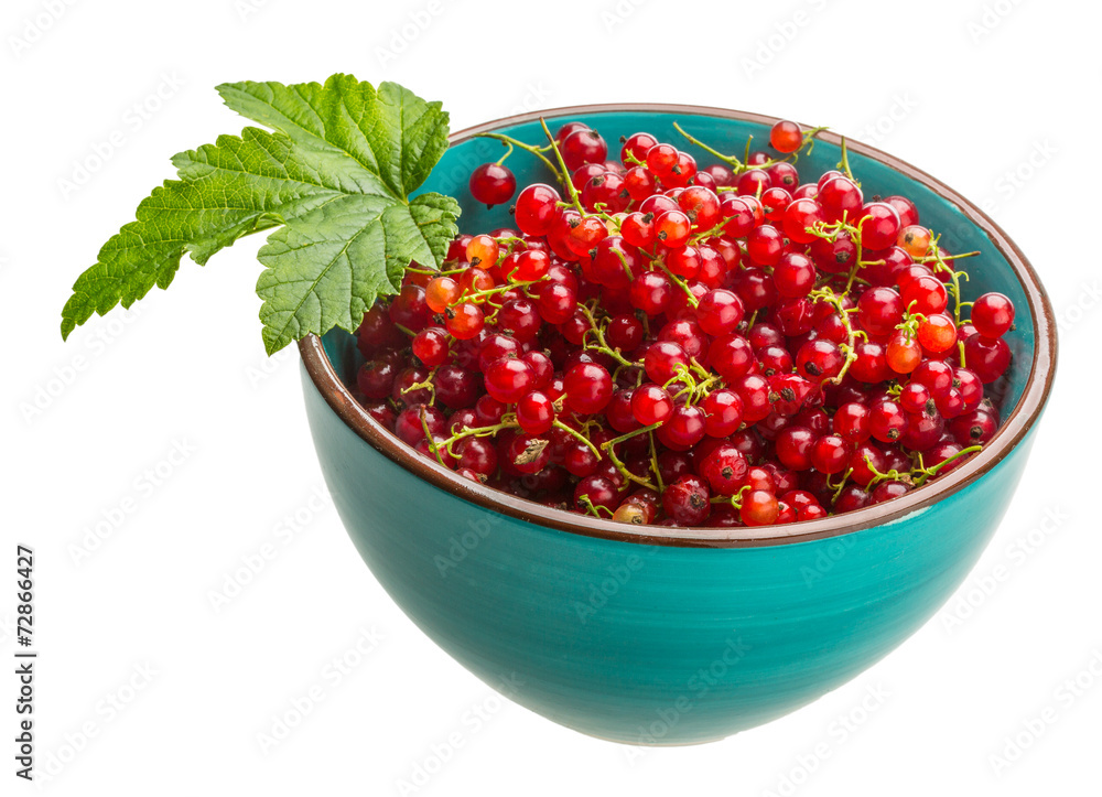 Red currant Red currant
