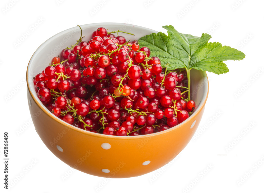 Red currant Red currant