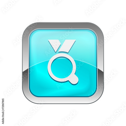 Glossy Vector Icon 