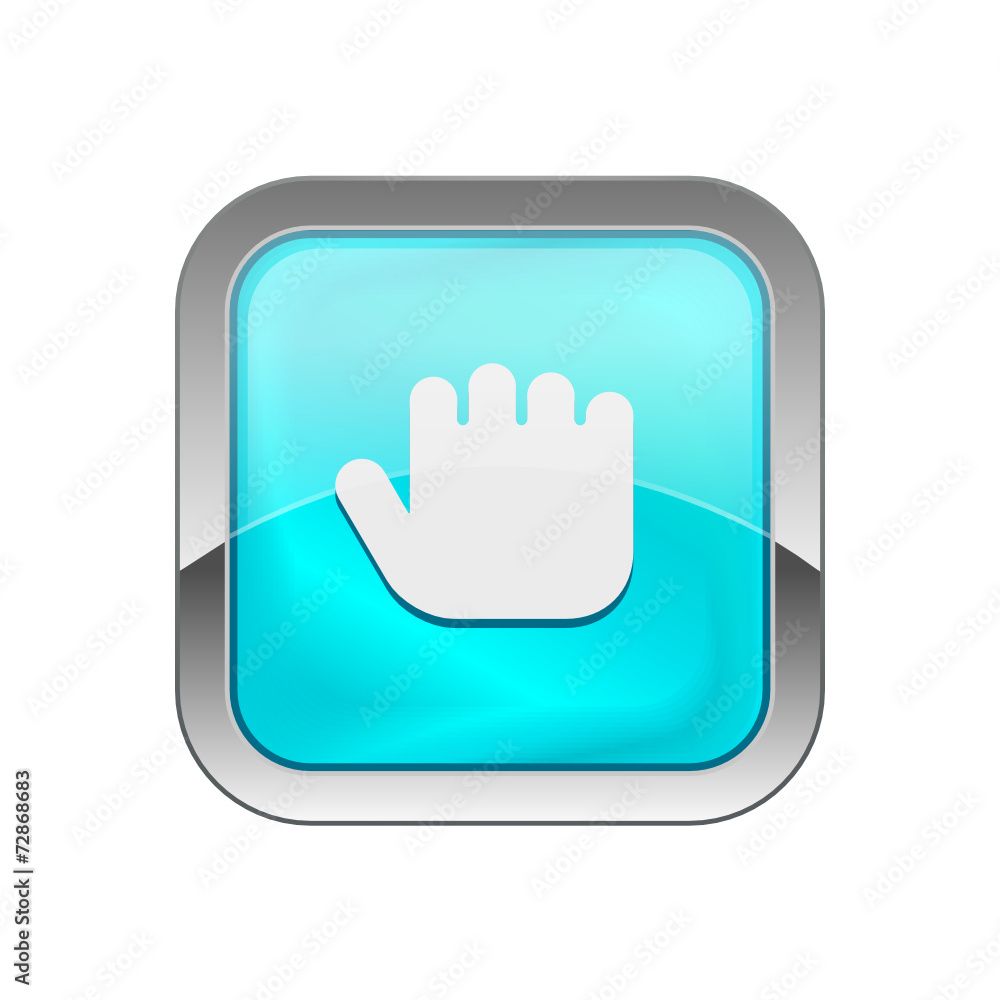 Glossy Vector Icon 