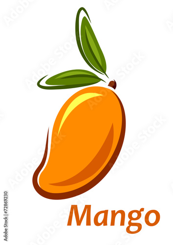 Cartoon mango fruit sketch