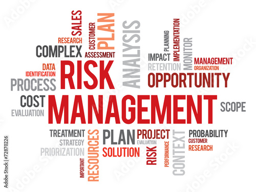 Risk management words cloud business vector concept
