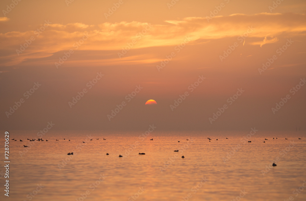 lake constance sunset lake constance sunset