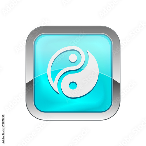 Glossy Vector Icon 