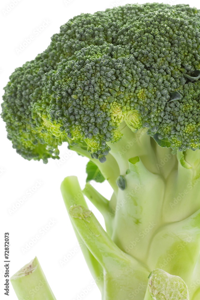 bunch of fresh broccoli isolated on white background bunch of fresh broccoli isolated on white background