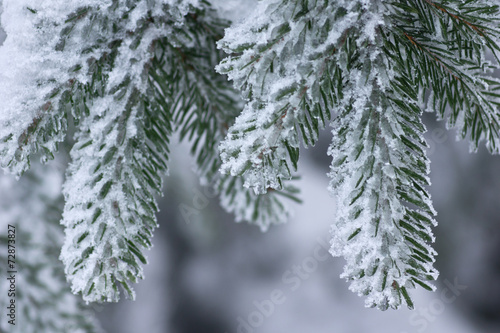 Winter Hintergrund © kelifamily