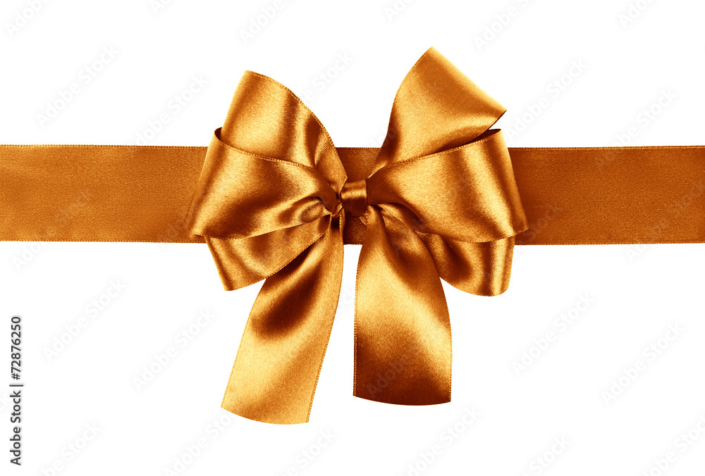 Fototapeta premium burnt orange bow photo made from silk