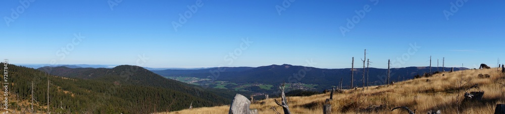 Fototapeta premium Wandern im Bayerischen Wald