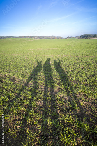 tree shodows of people on a grass field photo