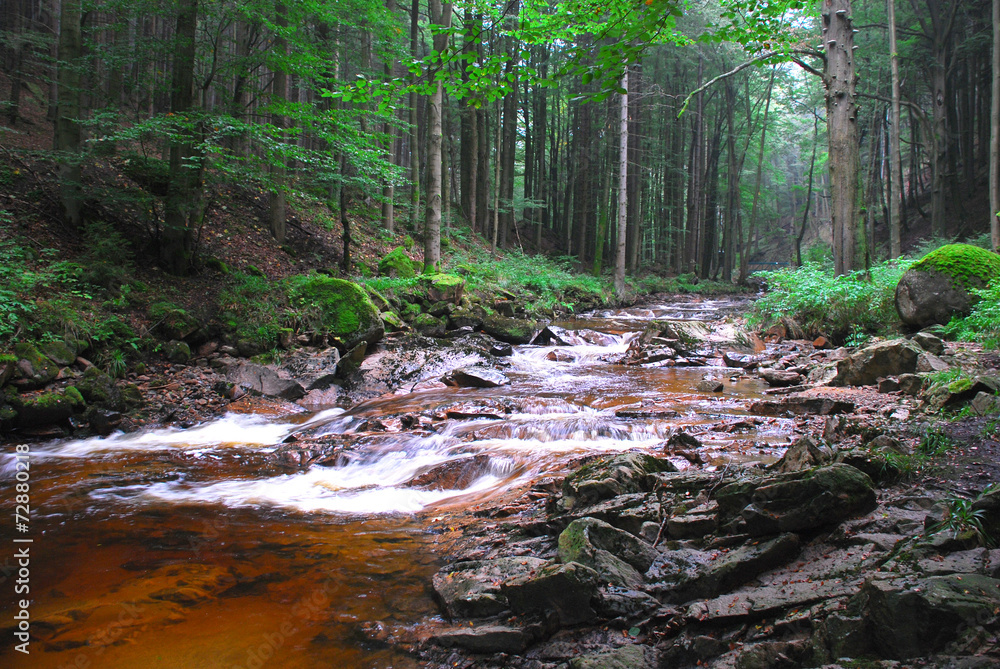 Obraz premium das Ilsebett