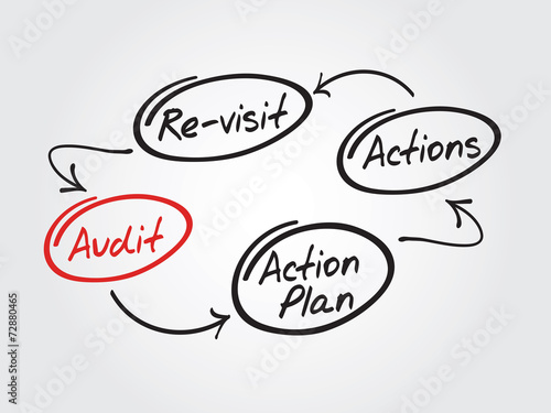 Four steps of the audit process in order to audit a company