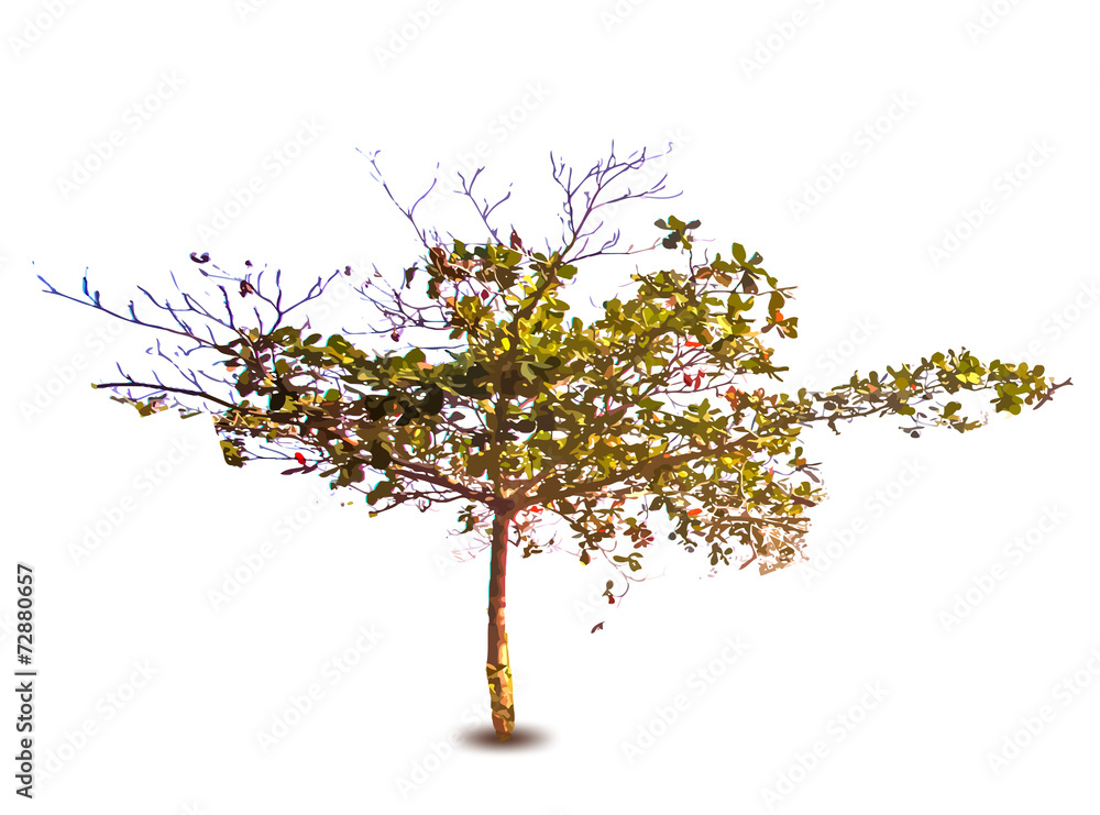 Vector spring tree
