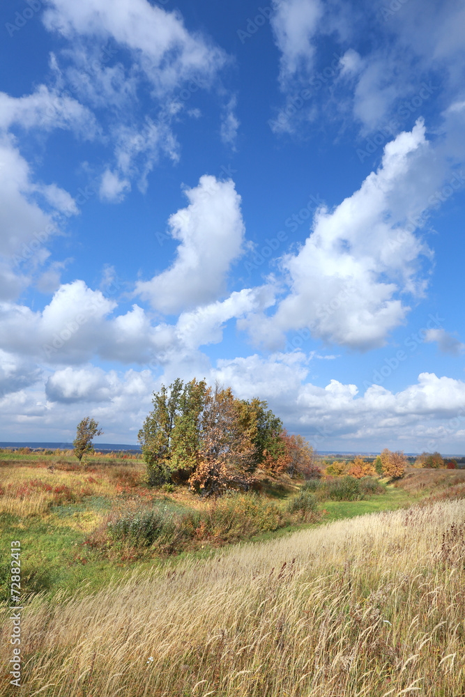 Fototapeta premium autumn landscape