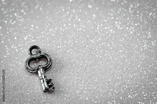 silver key © katarinagondova
