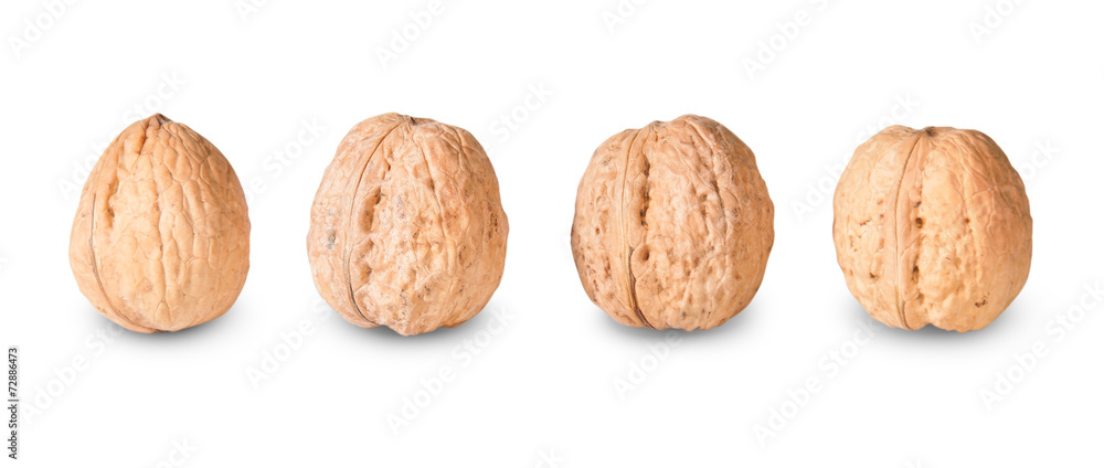 Four Nuts Lying In A Row