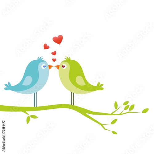 birds in love