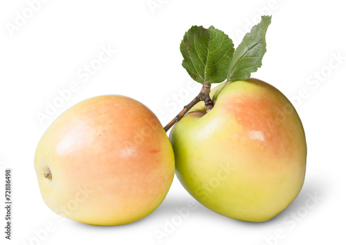 Two Juicy Apple With Green Leaf