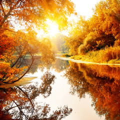 Wandcirkels Herfst Rivier door betoverend herfstbos  © Givaga