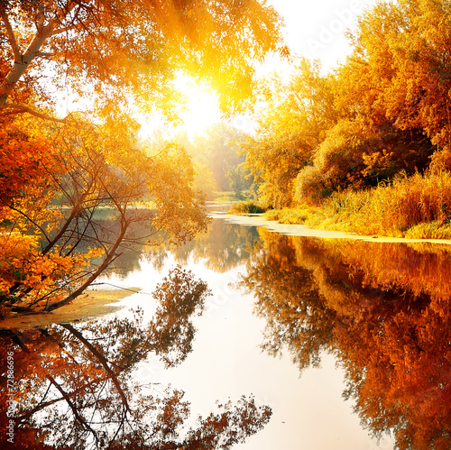 Fototapete Herbst - Fototapete River in a delightful autumn forest