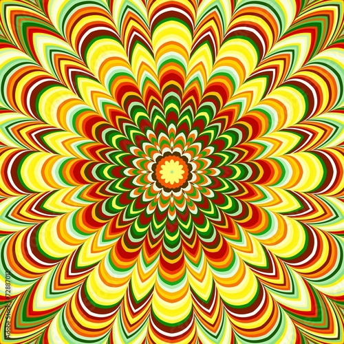 Colorful flower striped mandala