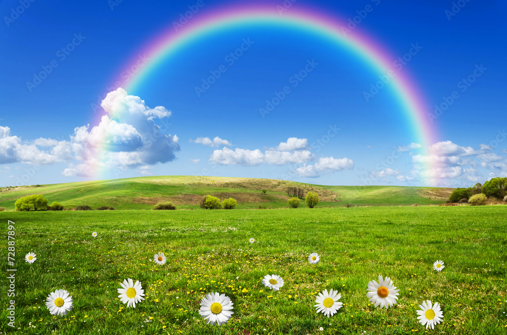 Obraz premium rainbow background