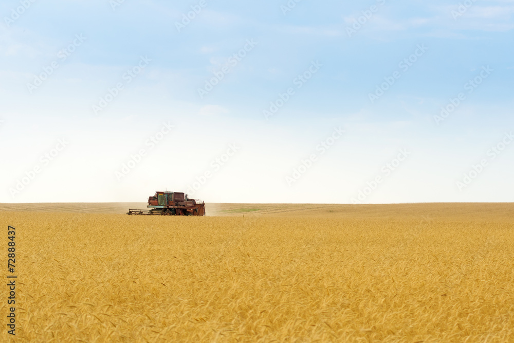Naklejka premium grain harvester combine in field