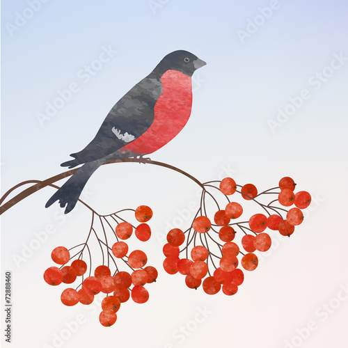 Winter background with bullfinch