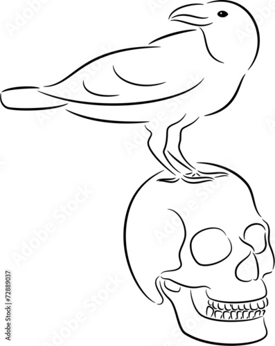 Skull and raven