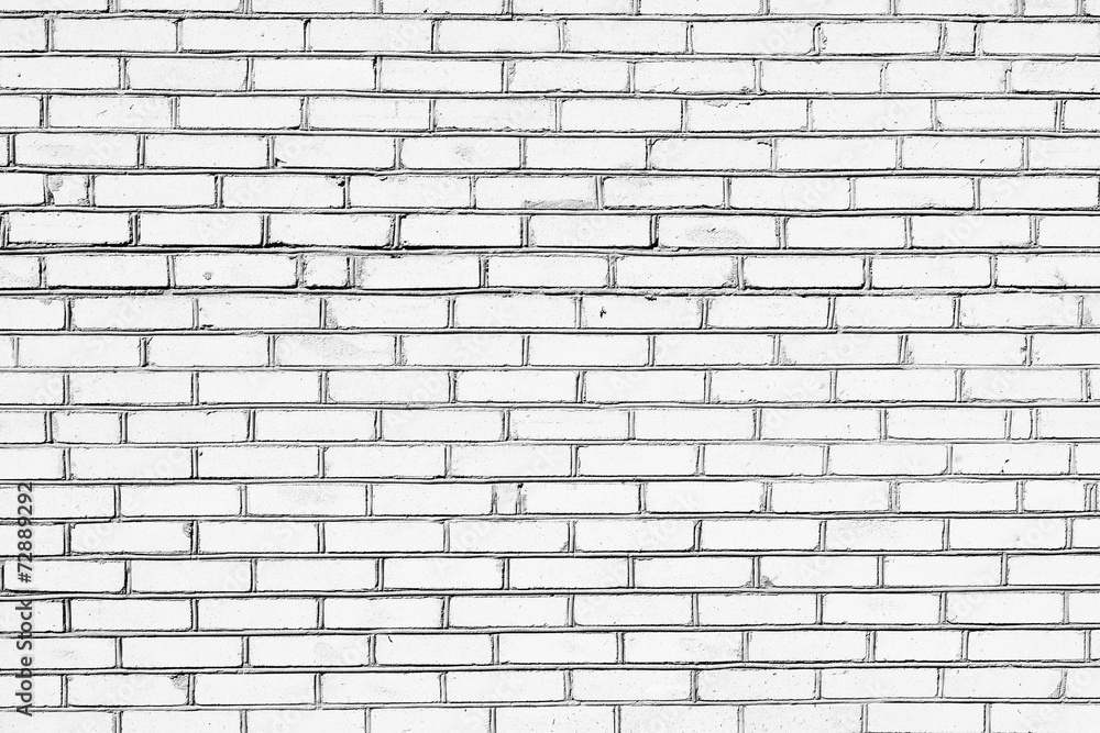 White brick wall background.