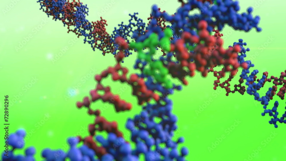 DNA animation DNA animation