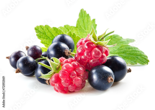 Black currant with raspberry isolated on white background
