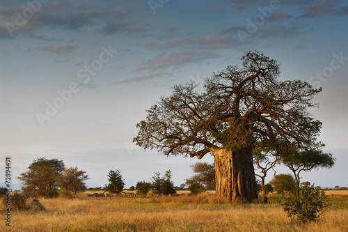 Fotomurale African landscape