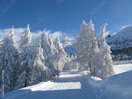 strada innevata photo